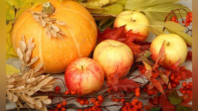 'KUZNING 5 TA FOYDALI MAHSULOTI'ning rasmi