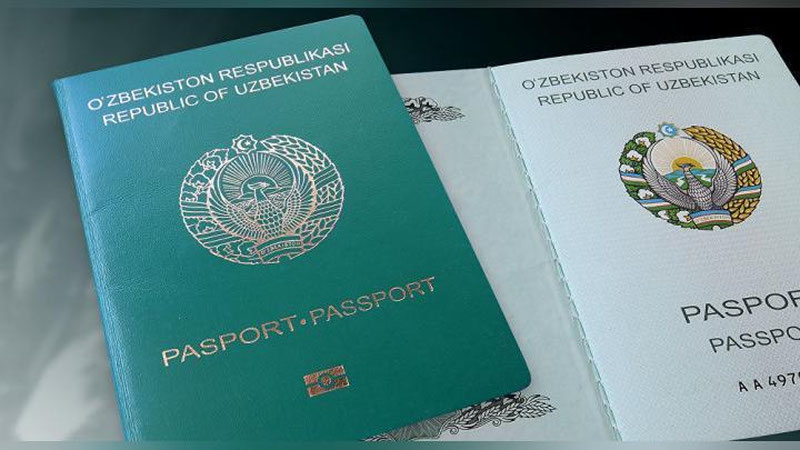Изрображение 'В ИНТЕРНЕТЕ ПОЯВИЛАСЬ ПЕТИЦИЯ ОБ ОТМЕНЕ ГРАФЫ "НАЦИОНАЛЬНОСТЬ" В ПАСПОРТЕ'