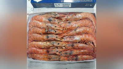 'Yaponiya tajribasi asosida O`zbekistonda krevetka etishtiriladi'ning rasmi