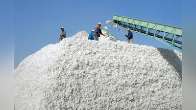 'Yana bir paxta zavodida talonchilik aniqlandi'ning rasmi