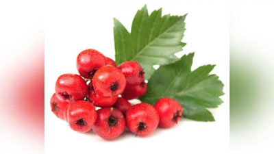 'YuRAGINGIZ BEZOVTA QILSA, DO`LANA ENG!'ning rasmi