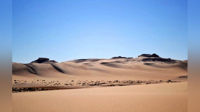 'САҲРОИ КАБИРДА ЯНА ҚОР ЁҒДИ'ning rasmi