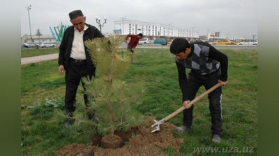 Изрображение 'НА ВЫХОДНЫХ В УЗБЕКИСТАНЕ ПРОЙДЕТ ХАШАР'