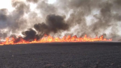 'Suriyada dala maydonlari alanga ichida qoldi (Video)'ning rasmi
