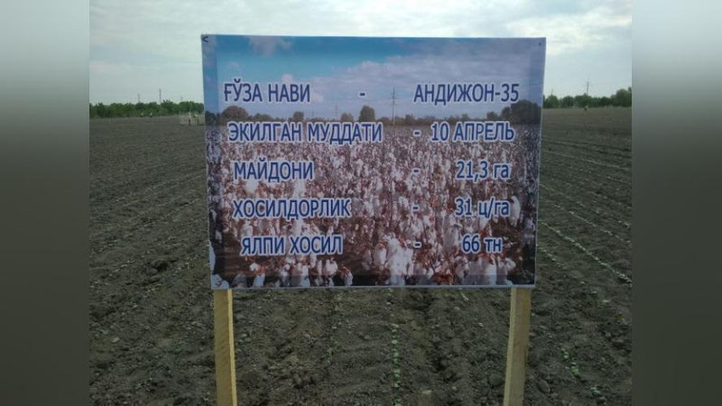 'Зараркунандаларга қарши курашишнинг инновацион усули Президентимизга намойиш этилиши кутилмоқда'ning rasmi