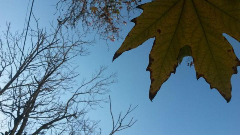 Изрображение 'КАКАЯ ПОГОДА НАС ЖДЕТ 17 СЕНТЯБРЯ?'