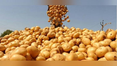 'Qirg`iziston O`zbekistonga chorva va kartoshka etkazib beradi'ning rasmi