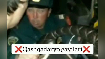 'Qashqadaryoda inspektor bilan bo`lgan tortishuvda haydovchi haq bo`lib chiqdi'ning rasmi