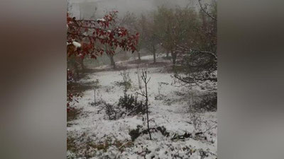 'Qashqadaryoda ham birinchi qor yog`di (Foto)'ning rasmi