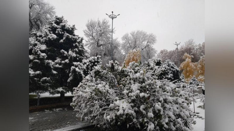 Изрображение 'На неделе нас ждут ночные морозы'