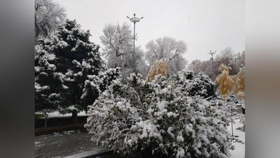 Изрображение 'На неделе нас ждут ночные морозы'