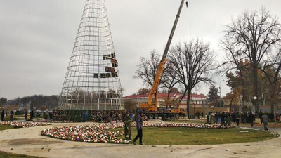 'Toshkentning asosiy Yangi yil archasi odatdagidan erta o`rnatila boshladi (foto)'ning rasmi