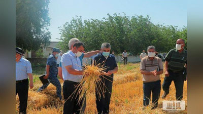 'Sirdaryo viloyati g`alla rejasini bajardi'ning rasmi