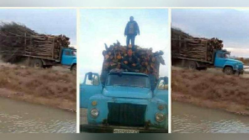 'Buxoroda daraxtlarni noqonuniy kesgan "qaxramonlar" yuqori tezlikda qochib, mas`ullarni dog`da qoldirdi (video)'ning rasmi