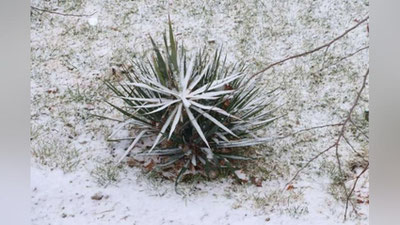 Изрображение 'В Узгидромете рассказали, каким ожидается декабрь в Узбекистане'