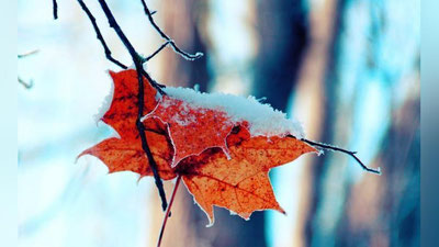 'O`zbekistondan sovuq havo qachon chekina boshlashi ma`lum qilindi'ning rasmi