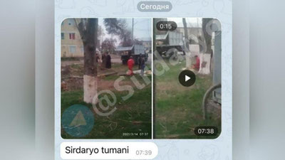 'Sirdaryoda daraxtlar ayovsiz kesib tashlanyati. Mutasaddilar esa sukut saqlashmoqda(video)'ning rasmi