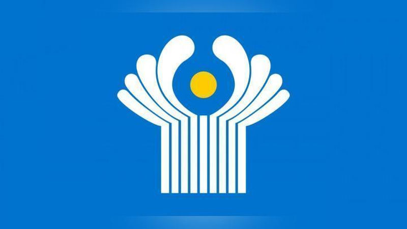 Изрображение 'Президент отправится на неформальный саммит СНГ в Петербург'