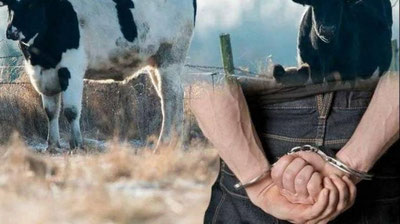 'Qassobga chuv tushganlar'ning rasmi