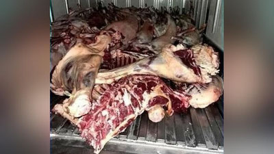 'Navoiyda salkam bir tonna sifatsiz go`shtni olib ketayotgan fuqaroga chora ko`rildi'ning rasmi