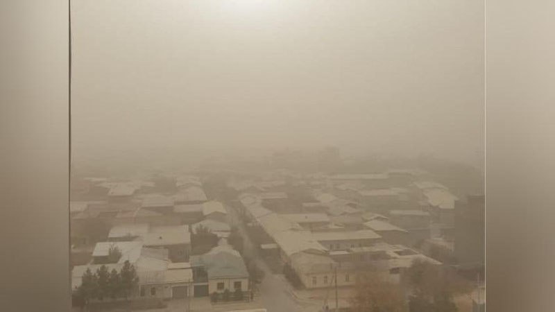 'Пойтахтда тарқалган чанг таркиби ўрганиб чиқилди'ning rasmi