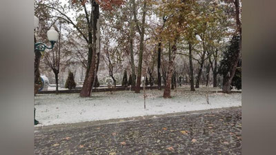 Изрображение 'Прогноз погоды на 17 ноября'