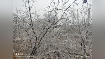 'Водий вилоятларида кучли булдуруқ ҳодисаси кузатилмоқда'ning rasmi