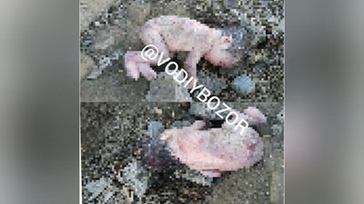 'Жалақудуқда янги туғилган чақалоқ жасади топилди'ning rasmi