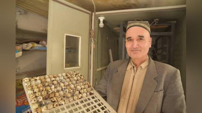 '"Икки қизим бетоб бўлиб қолди, бедана тухуми истеъмол қилишни тавсия қилишди..." Фарғоналик инженер-технолог республикага бедана етказиб берувчи тадбиркорга айланди'ning rasmi