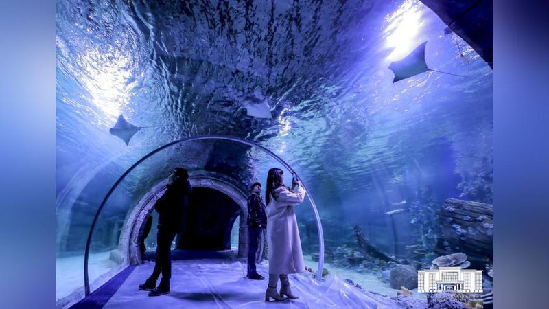 'Бугун Тошкентда Ўрта Осиёда биринчи "Magic Aquarium" океанариуми очилди (фото)'ning rasmi
