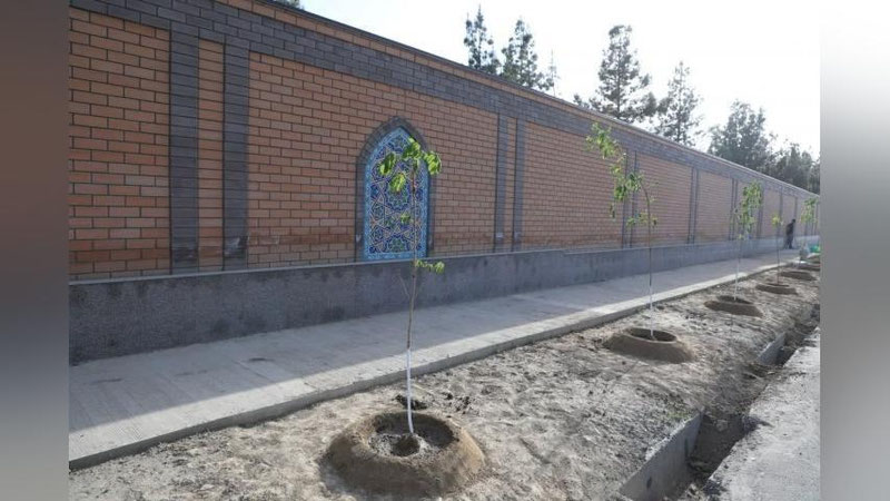 Изрображение 'В Узбекистане объявлены новые 40 ударных дней по посадке деревьев'