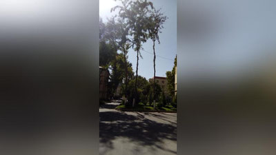 Изрображение 'Каким должно быть расстояние от жилого строения до других объектов?'