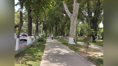 Изрображение 'В Ташкенте без осадков, +36: погода на 4 августа'