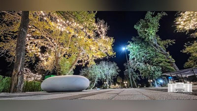 'O`zbekiston milliy bog`i yangidan ishga tushdi (foto)'ning rasmi