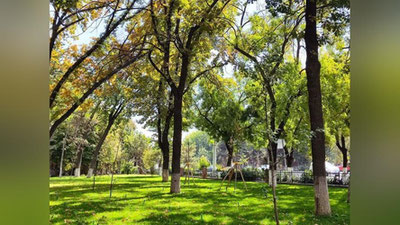 Изрображение 'В Ташкенте воздух прогреется до +23'