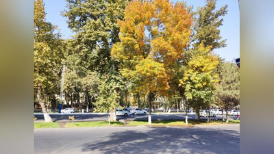 Изрображение 'В Узгидромете рассказали, когда установится погода без осадков'