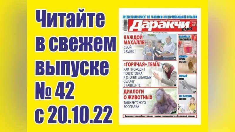 Изрображение 'Аутсорсинг при организации питания в детсадах: быть или не быть?'