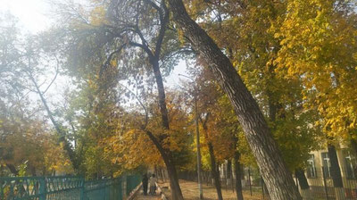 Изрображение 'В Ташкенте +12: погода на 11 ноября'