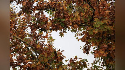 Изрображение 'В Узгидромете предупредили о похолодании в середине недели'