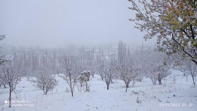 Изрображение 'Зима в Узбекистане: снег выпал в ряде регионов страны (видео)'