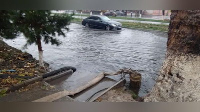 'Toshkentni suv bosdi'ning rasmi