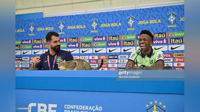 Изрображение 'Пресс-секретарь бразильской сборной вышвырнул кошку и добился всеобщего презрения (видео)'