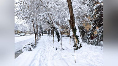 Изрображение 'В Ташкенте температура воздуха составит -11: погода на 12 января'