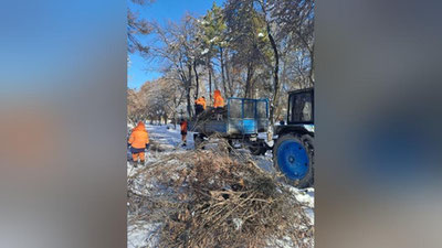 'Toshkentdagi “Moviy Gumbaz” bog`ida daraxtlar kesildi. Rasmiylar sababini aytdi'ning rasmi