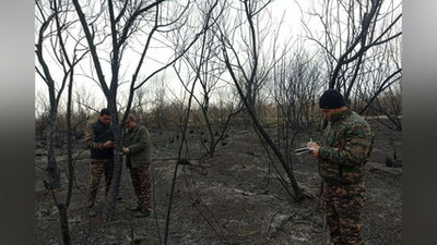 'Sirdaryodagi o`rmon xo`jaligida sodir bo`lgan katta yong`in aybdorlari topildi. Yong`in 295 million 627 ming so`m zarar keltirgan'ning rasmi