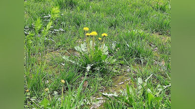 Изрображение 'Погода на неделе будет теплой и малооблачной'