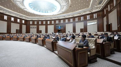 Изрображение 'Сенаторы одобрили проведение референдума по обновленной Конституции'