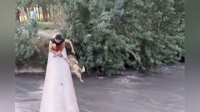 Изрображение 'Парней, бросивших собаку в канал, привлекли к ответственности (видео)'