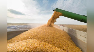 'Rossiya bug`doyi qozoq niqobi ostida O`zbekistonga jo`natilgani aniqlandi'ning rasmi