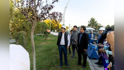 Изрображение 'Более 500 деревьев в Ташкенте планируют пересадить ради путепровода на улице Бабура'